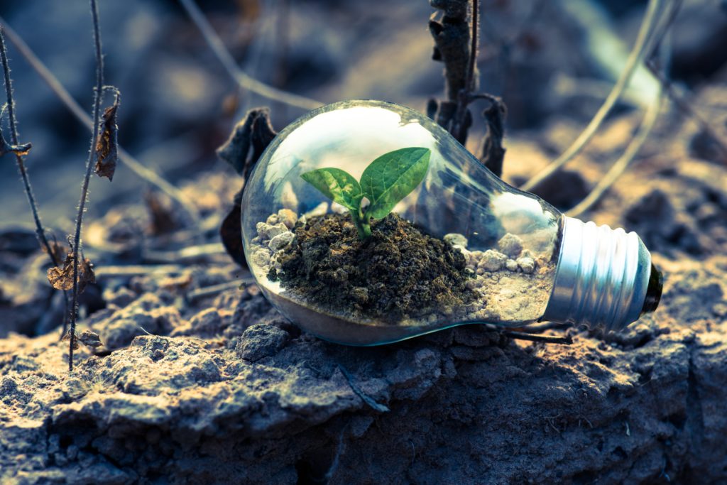 Ciclo de vida de un proyecto
